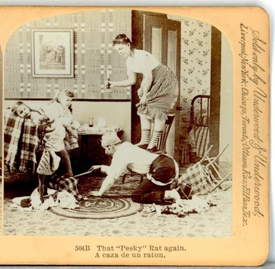 Comic, That Pesky Rat Again - Underwood Stereoview B47 - Изображение 1 из 4