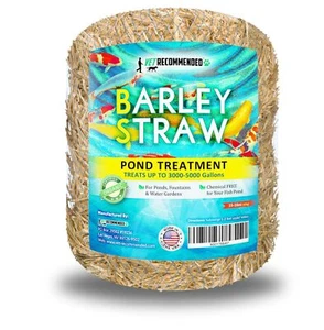 Barley Straw For Fish Ponds And Fountain 16 Oz. Treats Up To 3000 To 5000 Gall - Picture 1 of 8