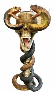 Cobra snakes in human skull Studio Collection By Veronese Design Candle Holder - Picture 1 of 7