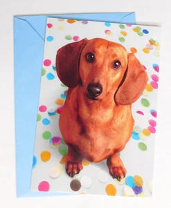 Congratulations Greeting Card Daschund Weiner Doxie Dog Hallmark - Picture 1 of 3
