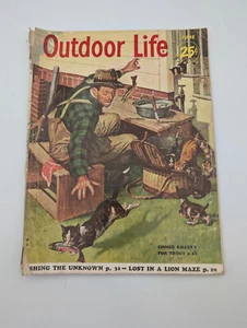 Juni 1954 Ausgabe der Outdoor Life Zeitschrift, Band 113, Serie 6 - Bild 1 von 7