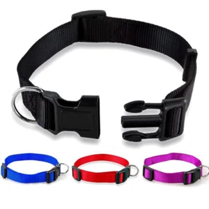Cuello de nailon para perro pequeño collar liso cachorro mascota gato para perro pequeño Chihuahua S-XL - Imagen 1 de 13