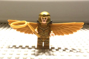 Lego DC Superheroes Wonder Woman Diana Prince aus #76157 - Bild 1 von 3
