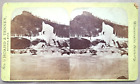 Red Wing MN Stereoview Hoard & Tenney Winona Wisconsin Scenery bluff ice river