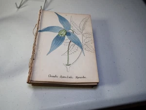 Large Lot of Prints, 150 pcs, from Joseph Karl Weber, Plants of the Alps, 1872 - Picture 1 of 1