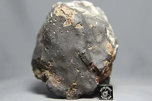 NWA 10700 LL4-6 meteorite condrite 628 grammi massa principale - Foto 1 di 12