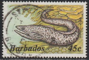 Barbados 1985 SC# 650 - Spotted Moray - Used Lot # 31