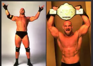 Goldberg WCW NWO Superstars 1998 Panini Glossy Photo Cards 4x6 - Picture 1 of 1