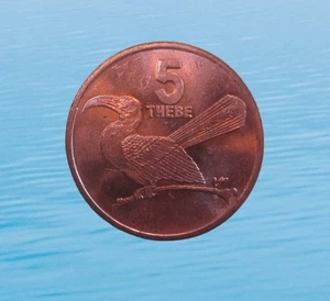 BOTSWANA 5 THEBE 1996 RED BILLED UNC KM 4a #3036# - Picture 1 of 2