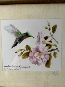 Roger Ellis Framed Print “Antillean Crested Hummingbird” 10x10” Signed,Lovely - Picture 1 of 6