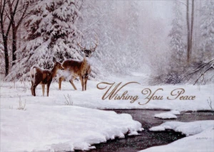 LPG Greetings Two Deer Near Stream in Winter Box of 14 Glitter Christmas Cards - Picture 1 of 2