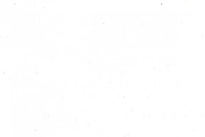 Delete - Picture 1 of 1