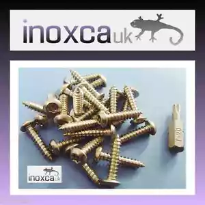 25 @ 4 x 20mm ACIER INOXYDABLE TORX à tête bouton VIS DE BOIS sécurité BROCHE+ - Picture 1 of 1