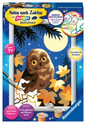 Ravensburger - Malen nach Zahlen - Eule im Mondschein - Bild 1 von 2