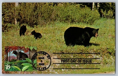 #3899e Northeast Deciduous Forest Black Bear FDC Maxi Card - Image 1 of 2