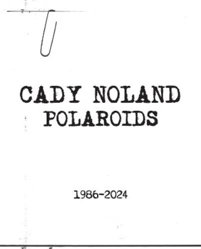 Cady Noland Cady Noland (Paperback) (PRESALE 03/02/2026) - Image 1 of 1
