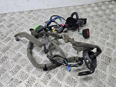 Telar de cableado de puerta Volvo V70 Mk3 D2 2011-2014 (o/s conductor delantero) 31318764 Foto 1 de 4