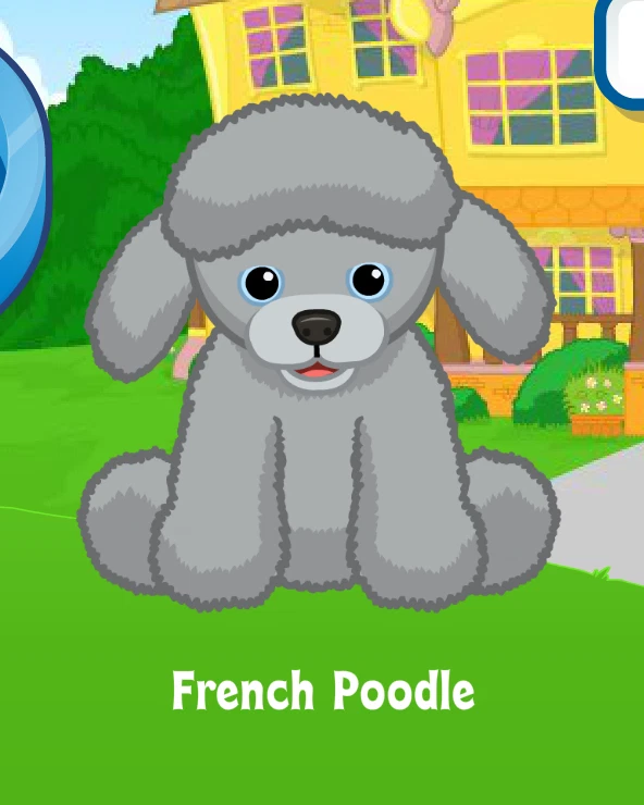 Webkinz Classic French Poodle Virtual PET Adoption Code Only Messaged - Image 1 of 1