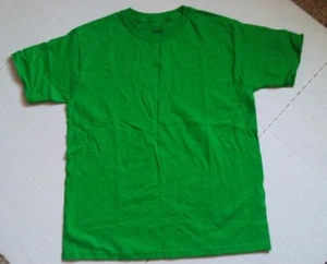 Camisetas FRUIT OF THE LOOM para niños verdes grandes 10-12 - Imagen 1 de 3