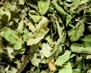 Black Walnut Leaf Tea 1 Ounce ~Juglans Nigra - Picture 1 of 2