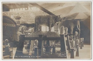 1909 AYP Expo REAL PHOTO Seattle, Washington - Interior California Building - Picture 1 of 2
