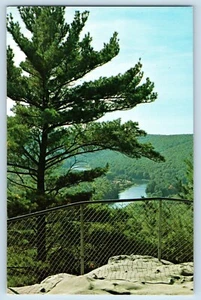 Pennsylvania PA Postcard View Seneca Point Cook Forest State Park Clarion c1960 - Picture 1 of 2
