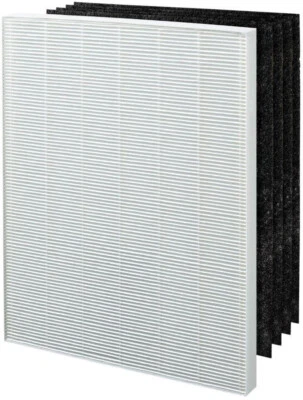 Filtro de repuesto Winix E 113250 True HEPA plus 4 carbón activado P450 B451 Foto 1 de 2