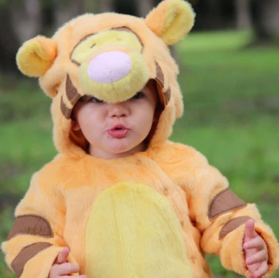 НОВЫЙ БЕЗ ЦЕННИКОВ КОСТЮМ ТИГРА POTTERY BARN KIDS BABY O-6 МЕСЯЦЕВ WINNIE THE POOH - Изображение 1 из 4