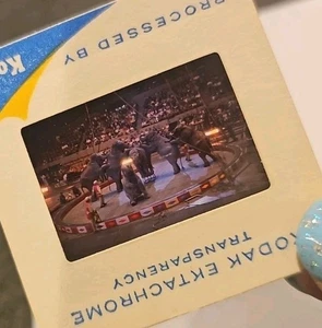 #DT 35mm slide - Vintage - Collectibles - Photo - Tayco Circus Elephants Event - Picture 1 of 1