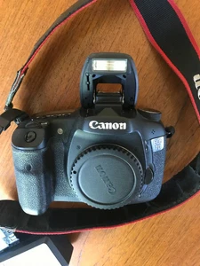 Canon EOS 7D 18.0 MP Digital SLR Camera - Black (Body Only)