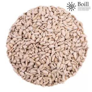 Boill Sonnenblumenkerne geschält, Premiumware - 10 kg. Lebensmittel zertifiziert - Bild 1 von 2
