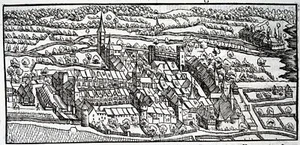 1548 Joh. Stumpf, Biel, Bienne, Switzerland, fine woodcut Leaf - Picture 1 of 4