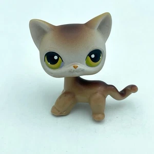 LPS Littlest Pet Shop #19 braun und hellbraun Kurzhaarkatze SELTEN 2005 - Bild 1 von 7