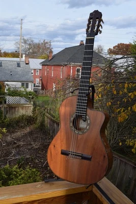 2006 Cordoba Koa CE - Single Cut Nylon Acoustic Electric - Portugal - OHSC - Image 1 of 4