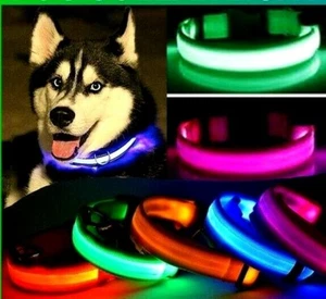 Rechargeable LED Dog Pet Collar Flashing Luminous Safety Night Light Up USB UK - Picture 1 of 21