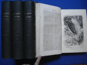 Merveilles de la nature : l'homme et les animaux description populaire des - Picture 1 of 1