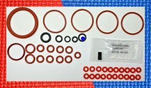 Saeco Royal Professional Dichtungen alte Ver. m. 2 Durchlauferhitzern Brühgruppe - Bild 1 von 1