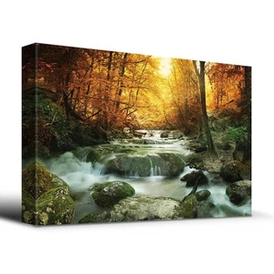 Wooded stream in Autumn - Canvas Art Home Decor - 16x24 inches - Picture 1 of 4