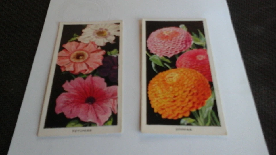 Carreras  FLOWERS. ( 2  cards Petunnias & Zinnias # 29&35) - Image 1 of 2