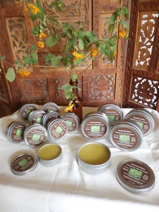 Poison Ivy Oak Jewelweed Sumac Concentrated Salve 100% Organic STOPS ITCH FAST! - Picture 1 of 12