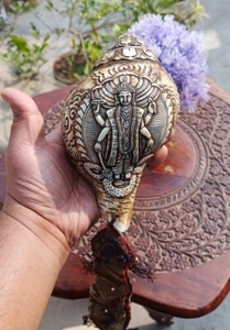 RAREST ORIGINAL BLOWING GOD VISHNU NARAYAN SHANKH CONCH SHELL NEPAL -7.5" - Picture 1 of 9