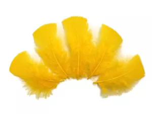 1/4 Lb. Golden Yellow Turkey T-Base Wholesale Flat Feathers Bulk Wedding Supply - Picture 1 of 12
