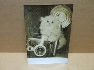 Petit chaton et appareil photo photographie artistique - Picture 1 of 2