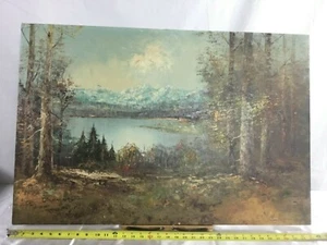 ORIGINAL ÖL LEINWAND GEMÄLDE SEENLANDSCHAFT VINTAGE  - Bild 1 von 2
