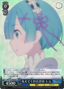 Blanco Negro RZ/S116-090S Rem Supporting Presence SR Japonés - Imagen 1 de 1