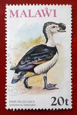 MALAWI 1975 20t Used African Comb Duck Mi 236 Scott 240 Superb 6559 - Image 1 of 2