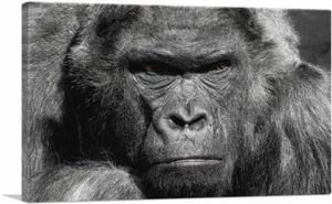 ARTCANVAS Gorilla arrabbiato decorazione casa stampa artistica su tela - Foto 1 di 11