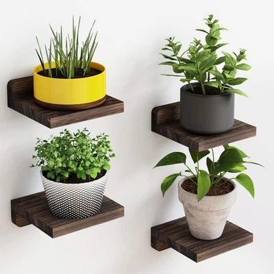 Small Wall Shelves Set of 4, 5X5 Inches Floating Shelves for Home Decor, Black - Image 1 of 4