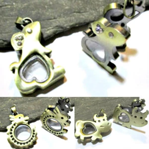 Memory Lockets Glas Medaillon Maus Drache Kuh bronze Anhänger befüllbar - Bild 1 von 7