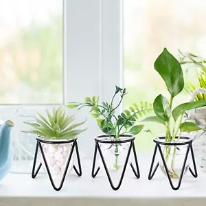 3 Pcs Glass Plant Terrarium with Metal Stand – Hydroponic Vases for Air Plants - Picture 1 of 5